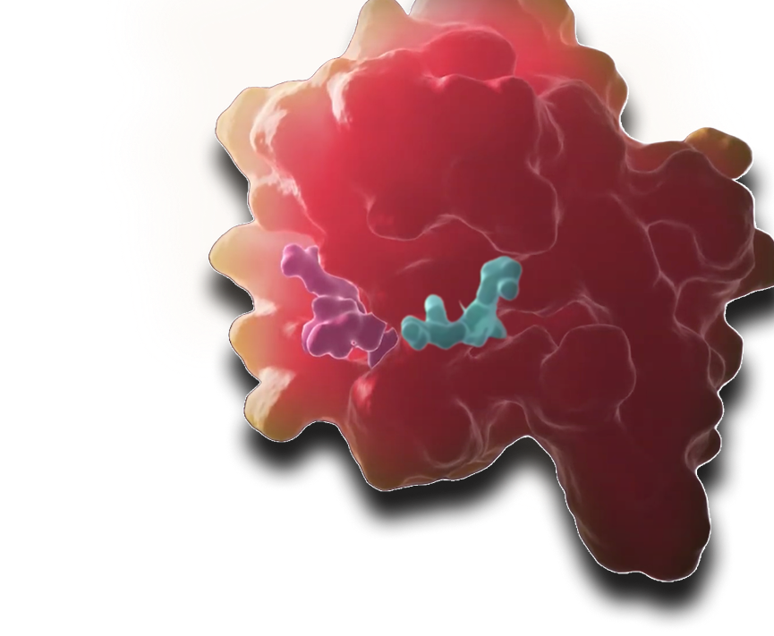 3D rendering of a lung cancer cell displaying red with blue and purple spots, illustrating the KRAS G12C mutation.