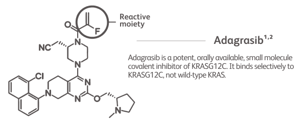 Adagrasib molecule structure highlighting reactive moiety