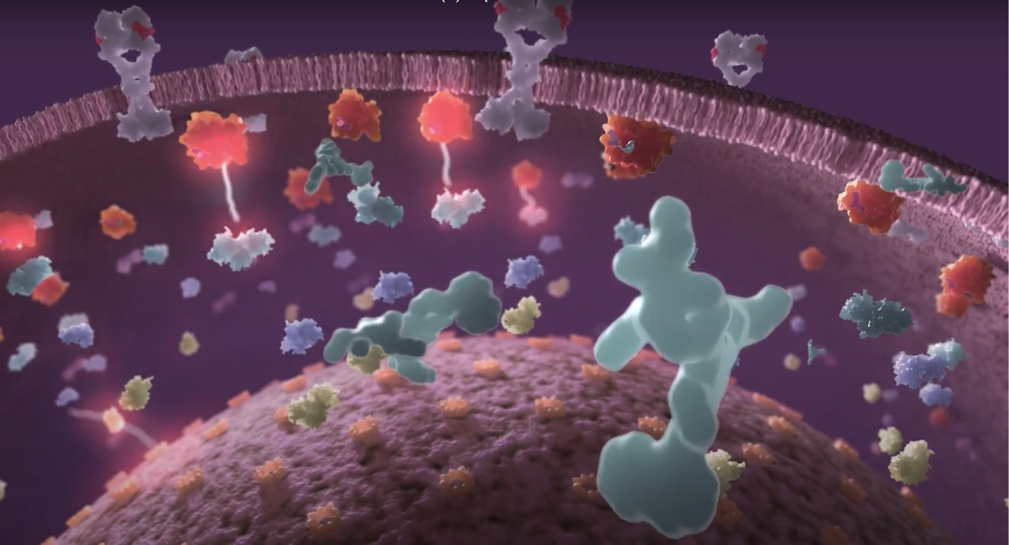 3D rendering of lung cancer cell highlighting the KRAS G12C mutation