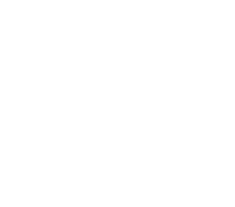 lungs icon