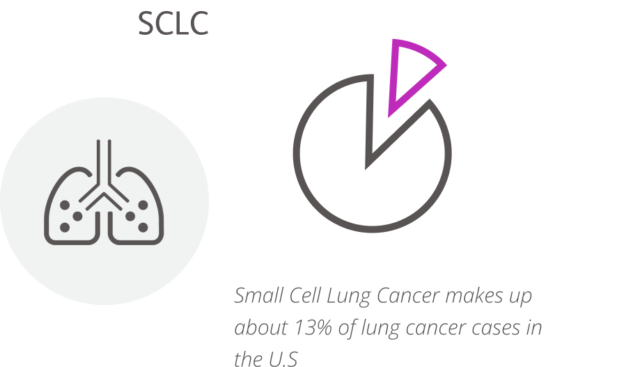 A lung icon with a pie chart depicting that Small Cell Lung Cancer makes up about 13% of lung cancer cases in the UnitedStates.